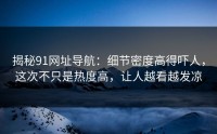 揭秘91网址导航：细节密度高得吓人，这次不只是热度高，让人越看越发凉